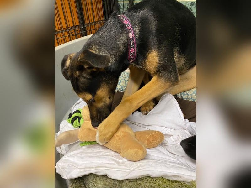 Jenna – bereit für ihr eigenes Zuhause