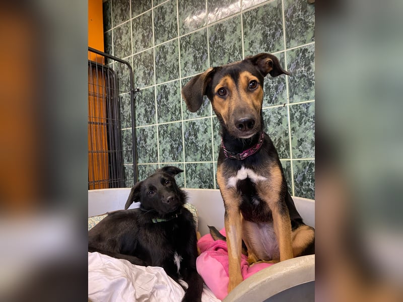 Jenna – bereit für ihr eigenes Zuhause