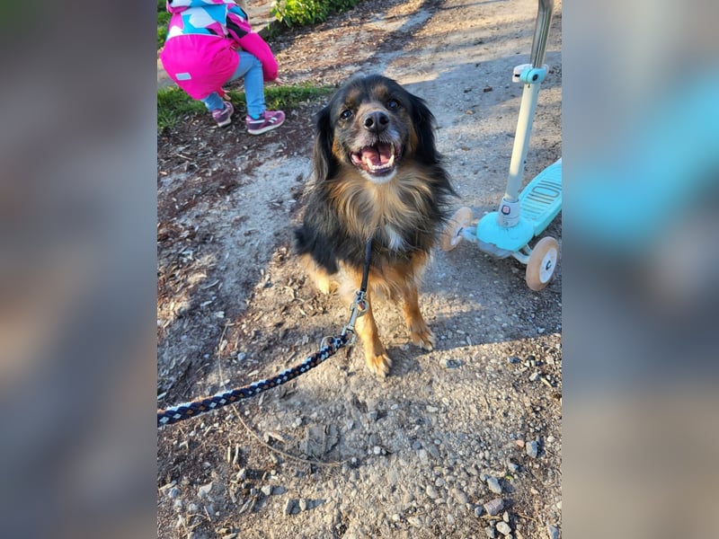 Bruno - kleiner Schmusebär sucht seine Familie