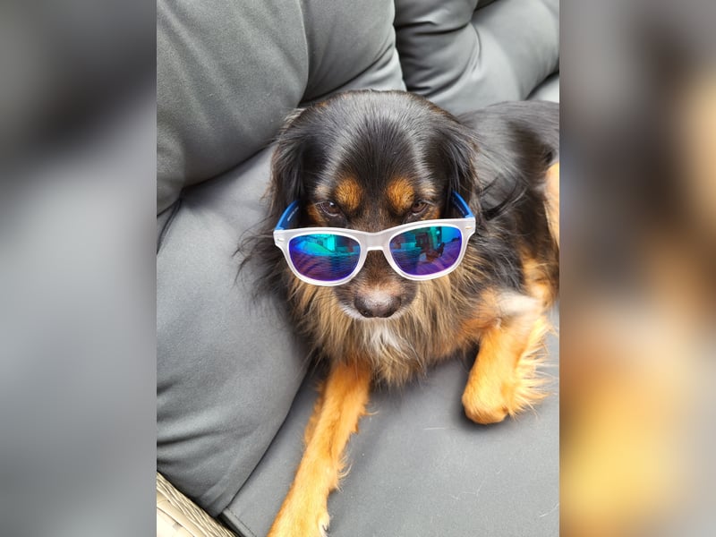 Bruno - kleiner Schmusebär sucht seine Familie