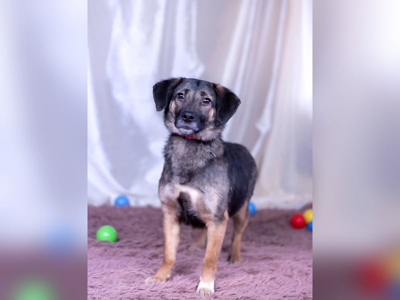 Adele wünscht sich ein liebevolles Zuhause