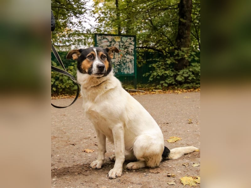 Yucca - eine Kuschelmaus möchte endlich ankommen dürfen