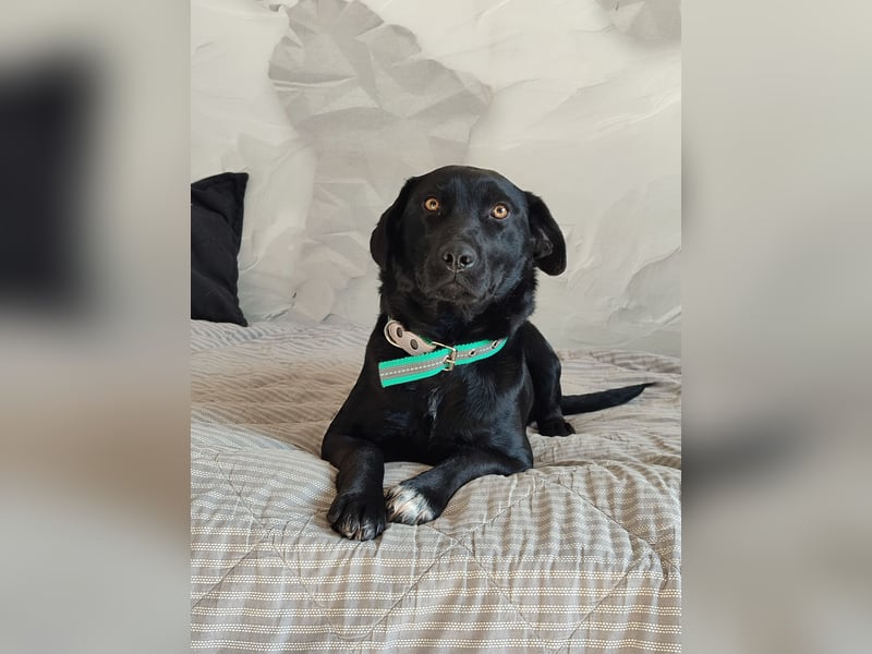 Milka: verschmust und menschenbezogen