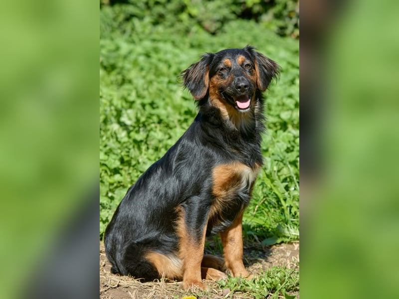 Athos: Ein Musketier zum Verlieben