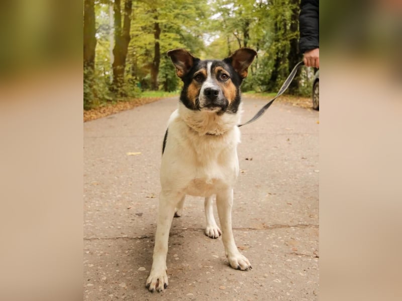 Yucca - eine Kuschelmaus möchte endlich ankommen dürfen