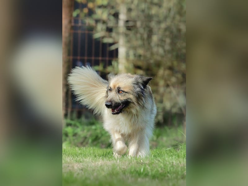Theo – Ein sanftmütiger Partner fürs Leben
