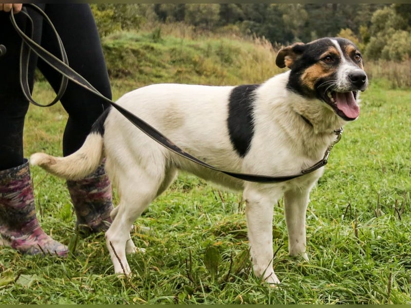 Yucca - eine Kuschelmaus möchte endlich ankommen dürfen