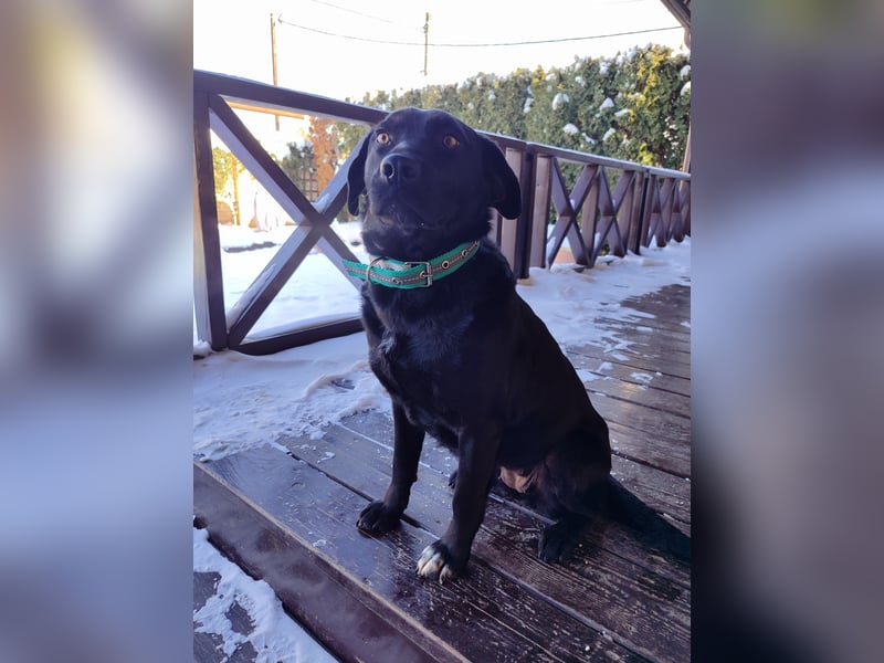 Milka: verschmust und menschenbezogen