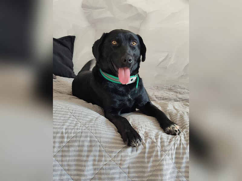 Milka: verschmust und menschenbezogen