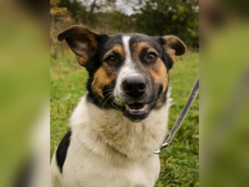 Yucca - eine Kuschelmaus möchte endlich ankommen dürfen