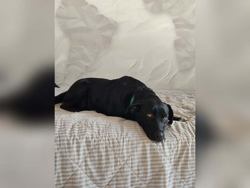 Milka: verschmust und menschenbezogen