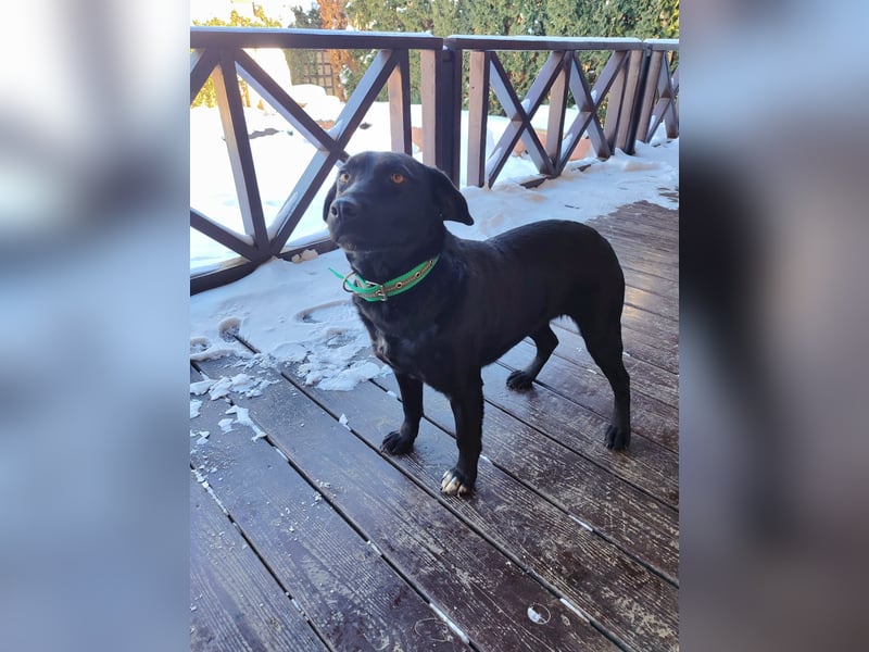 Milka: verschmust und menschenbezogen