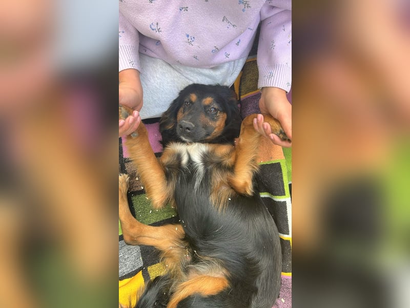 Athos: Ein Musketier zum Verlieben