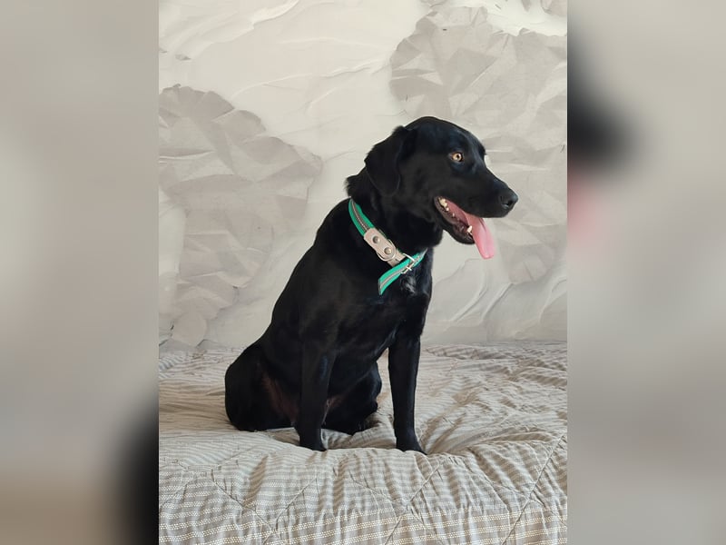 Milka: verschmust und menschenbezogen