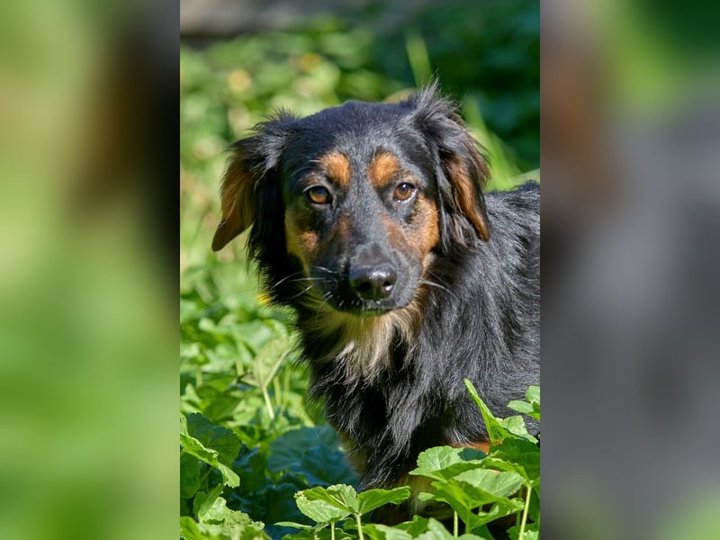 Athos: Ein Musketier zum Verlieben