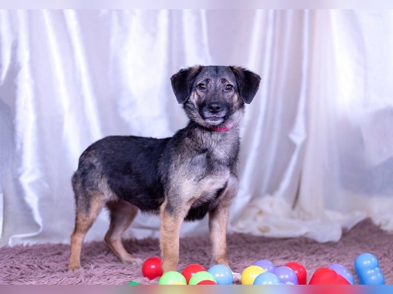 Adele wünscht sich ein liebevolles Zuhause