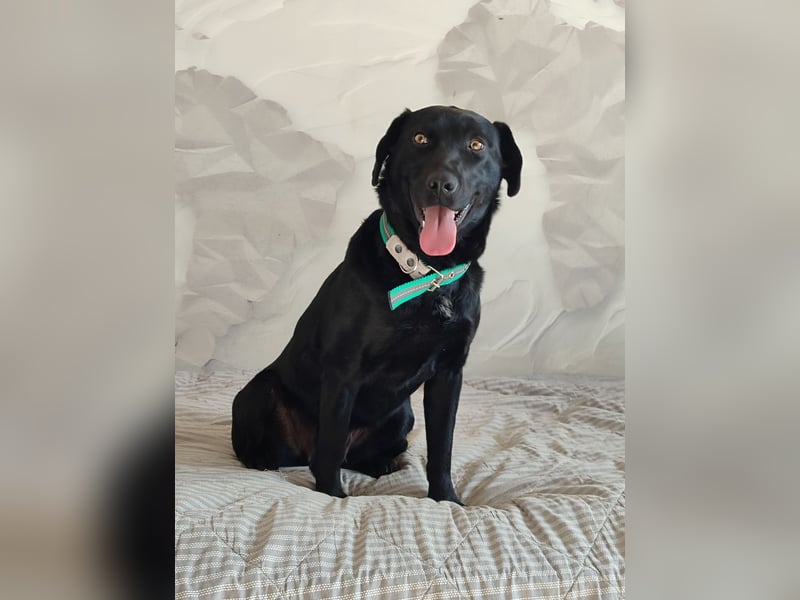 Milka: verschmust und menschenbezogen