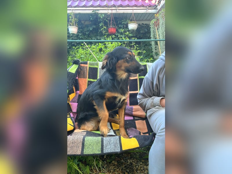 Athos: Ein Musketier zum Verlieben
