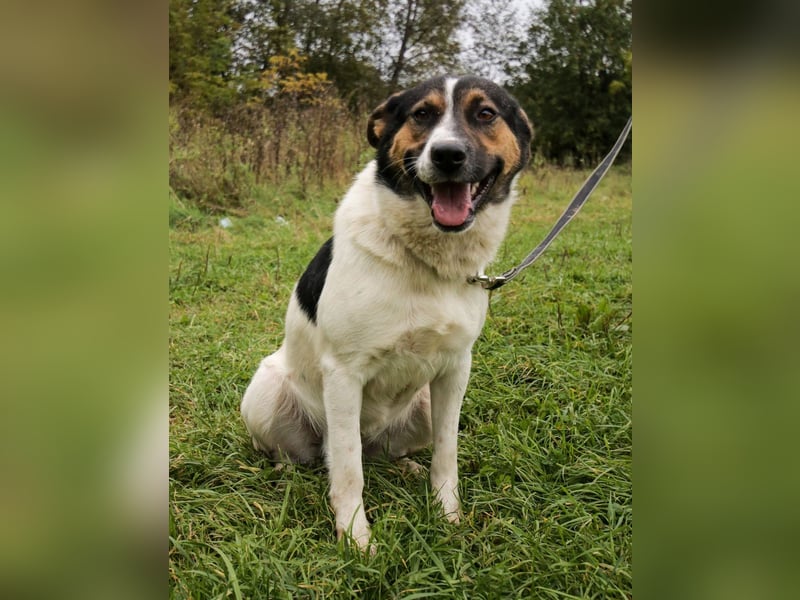 Yucca - eine Kuschelmaus möchte endlich ankommen dürfen