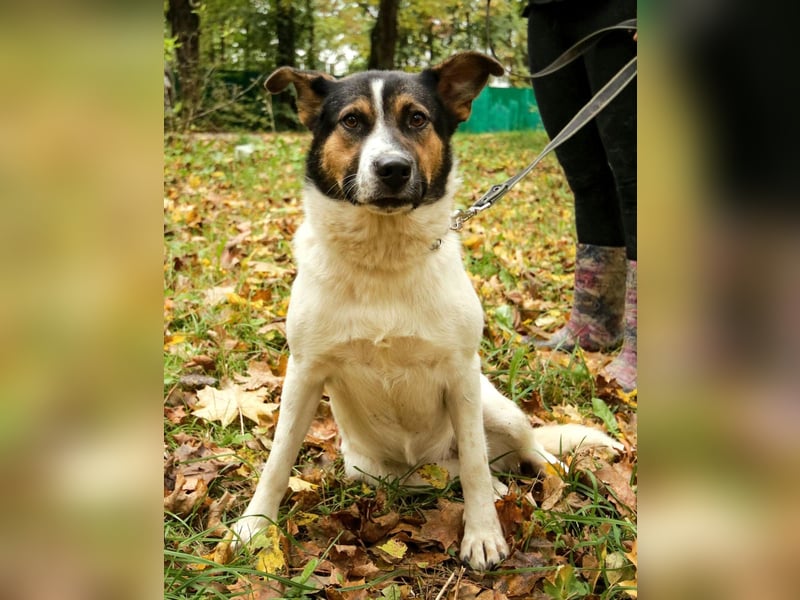 Yucca - eine Kuschelmaus möchte endlich ankommen dürfen