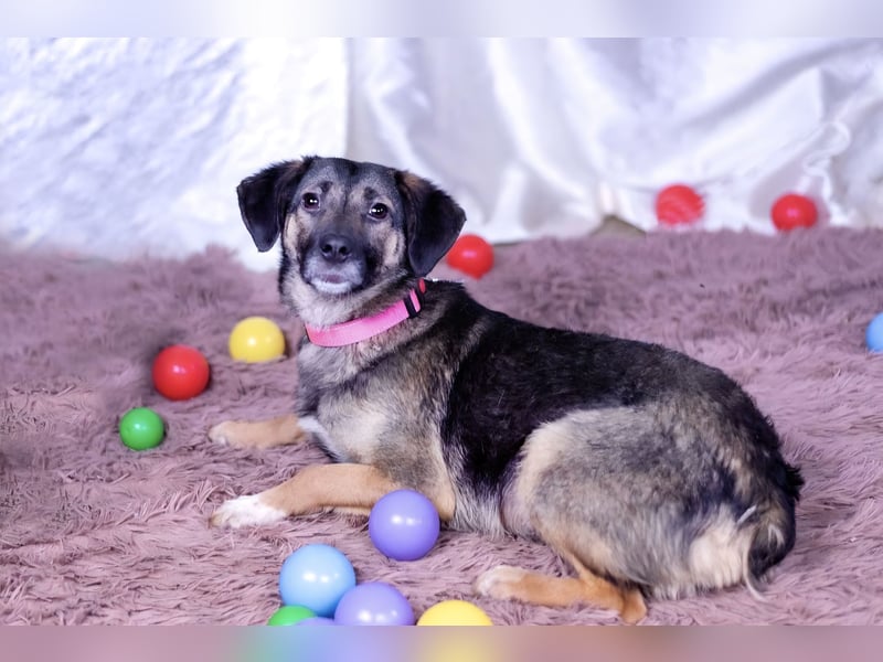 Adele wünscht sich ein liebevolles Zuhause