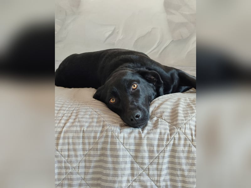 Milka: verschmust und menschenbezogen