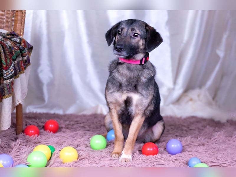 Adele wünscht sich ein liebevolles Zuhause