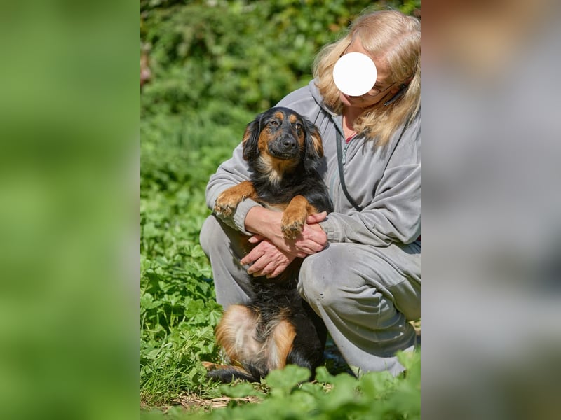 Athos: Ein Musketier zum Verlieben