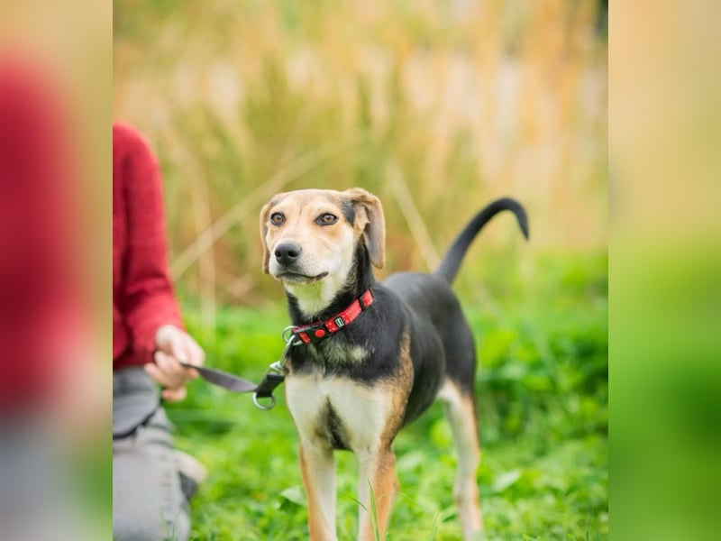 OLIVIA - Kleine Entdeckerin sucht ihre Familie