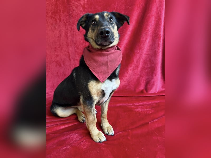 RANDOLF - Ein fröhlicher Sonnenschein mit kleinem Rucksack sucht Menschen, die ihn verstehen