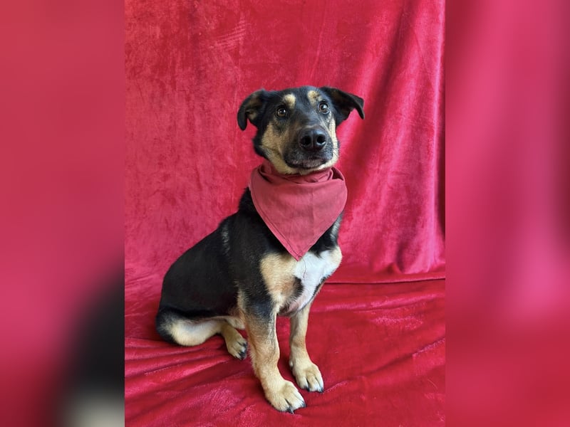 RANDOLF - Ein fröhlicher Sonnenschein mit kleinem Rucksack sucht Menschen, die ihn verstehen