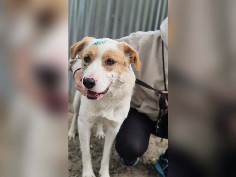 FALINA - Freundlich, kinderlieb und rundum verträglich!