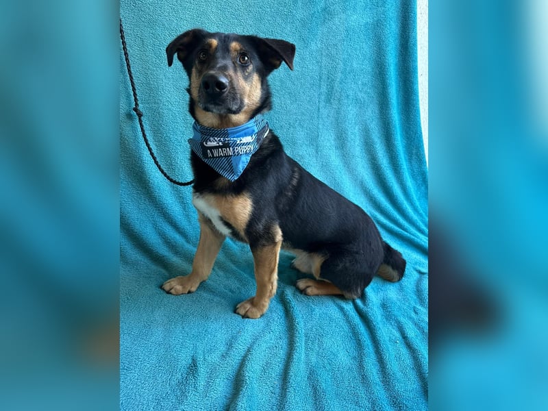 RANDOLF - Ein fröhlicher Sonnenschein mit kleinem Rucksack sucht Menschen, die ihn verstehen