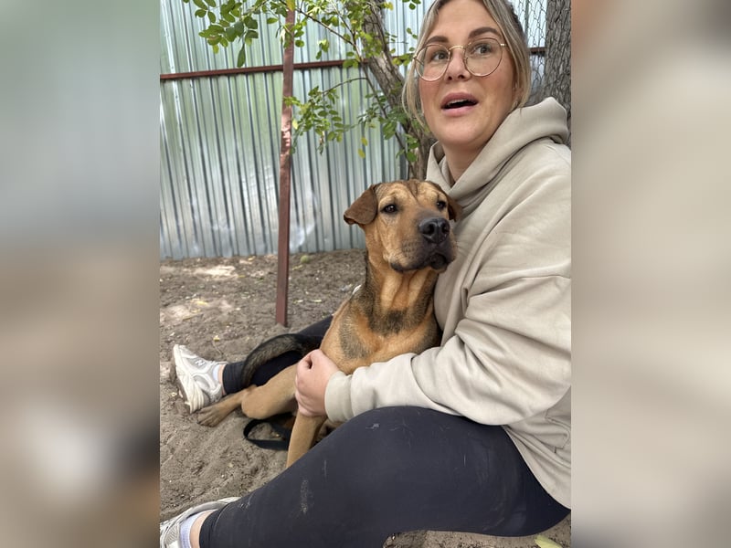 DEVIN - Aktiver Jungspund mit großem Herzen sucht seine Menschen