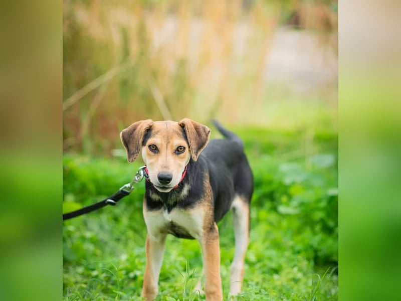 OLIVIA - Kleine Entdeckerin sucht ihre Familie