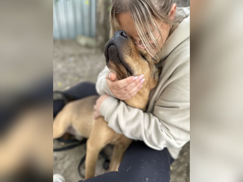 DEVIN - Aktiver Jungspund mit großem Herzen sucht seine Menschen