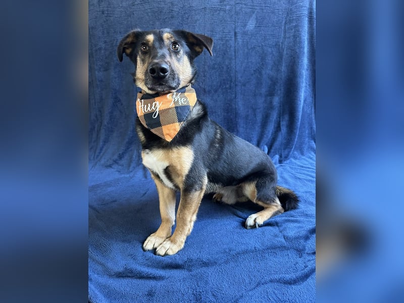 RANDOLF - Ein fröhlicher Sonnenschein mit kleinem Rucksack sucht Menschen, die ihn verstehen