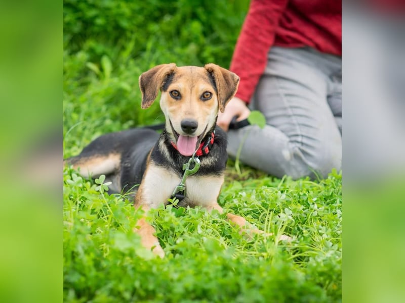 OLIVIA - Kleine Entdeckerin sucht ihre Familie