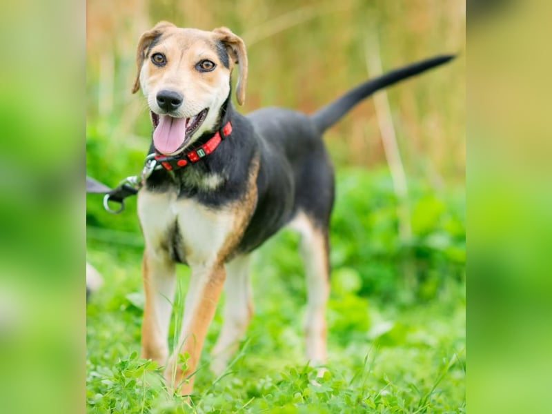 OLIVIA - Kleine Entdeckerin sucht ihre Familie