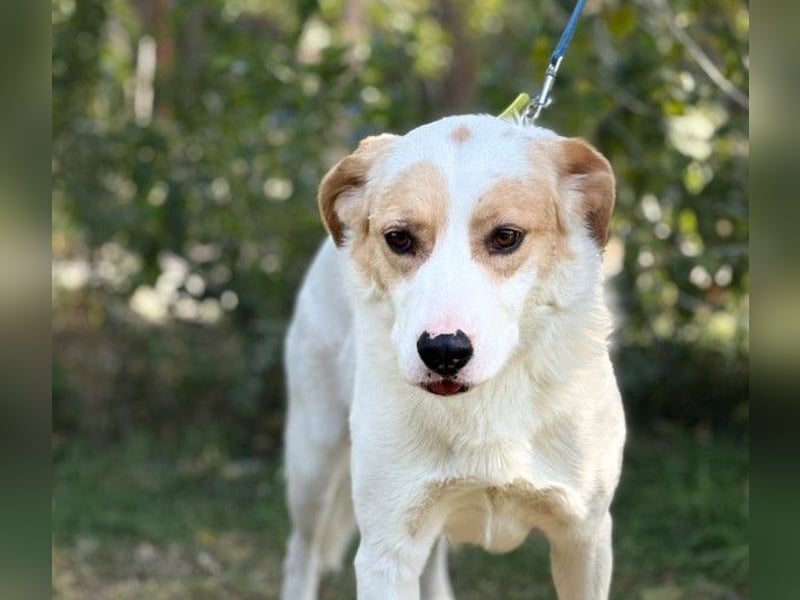 FALINA - Freundlich, kinderlieb und rundum verträglich!