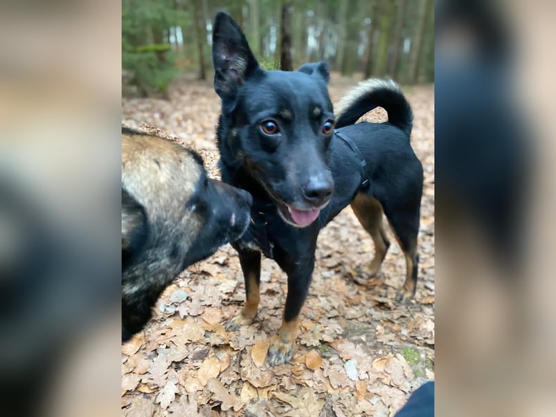 Alora sucht sportliche Menschen