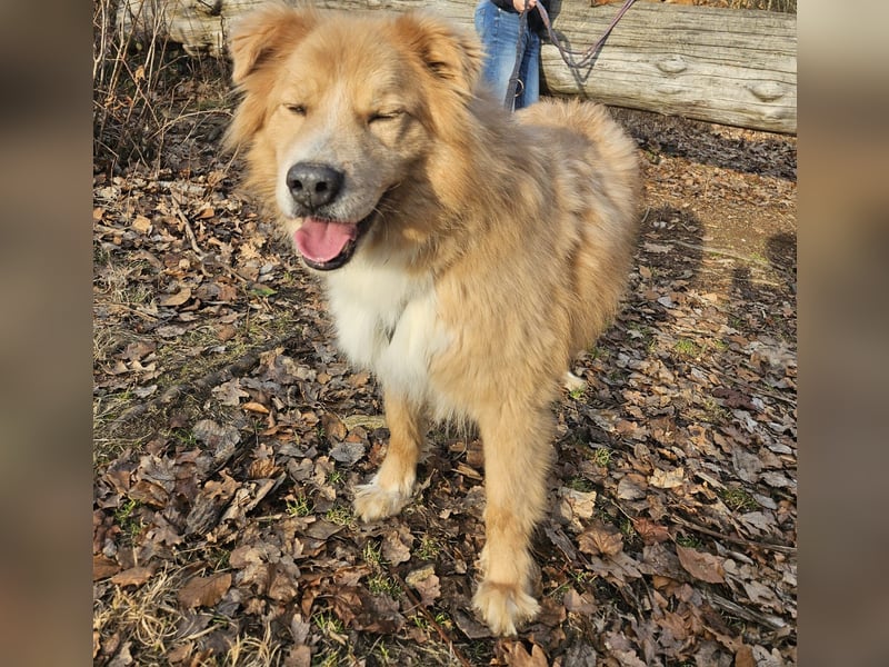 Kenzo sucht seine Menschen