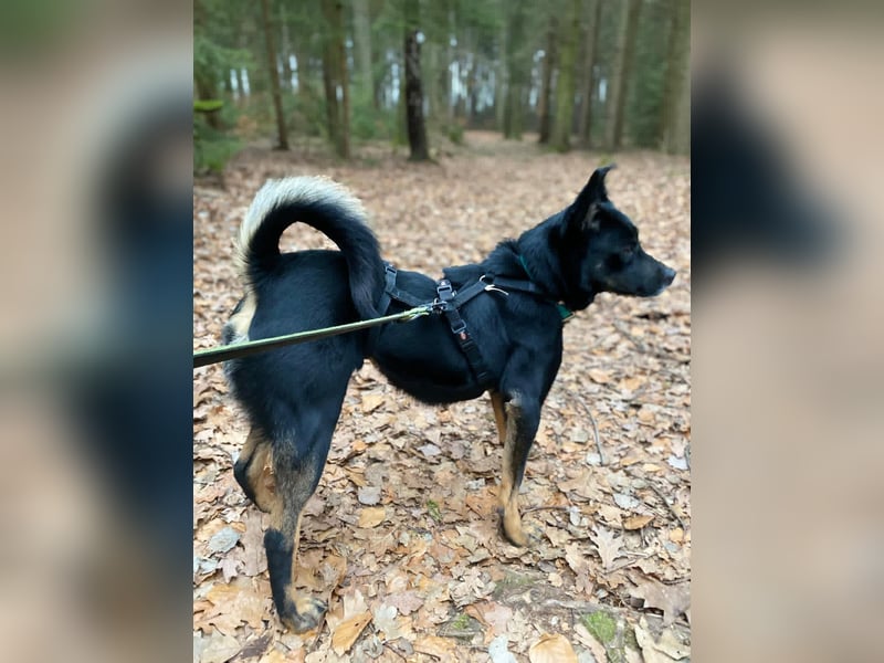 Alora sucht sportliche Menschen