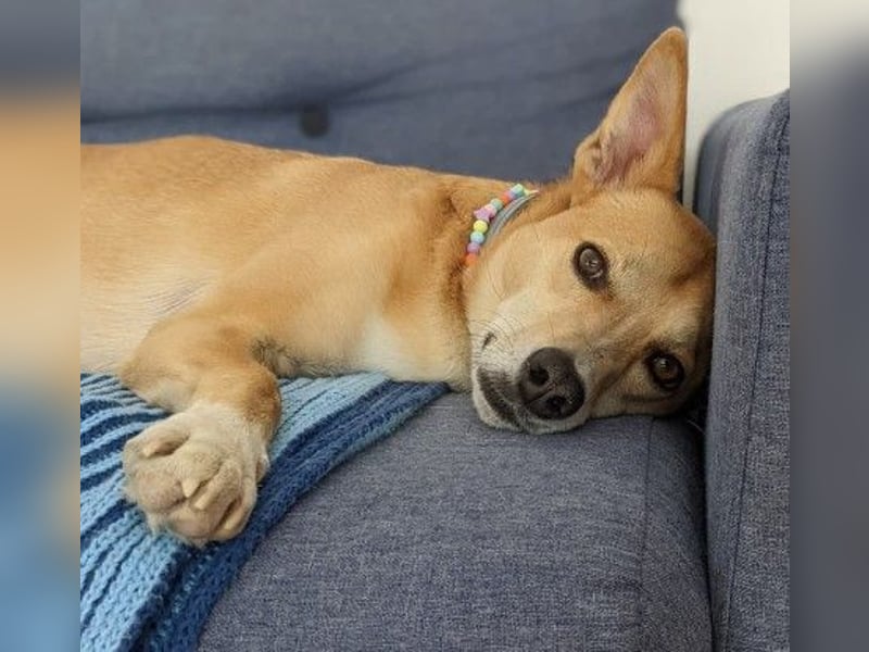 Aurell – Kuscheln, Lebensfreude und ganz viel Liebe