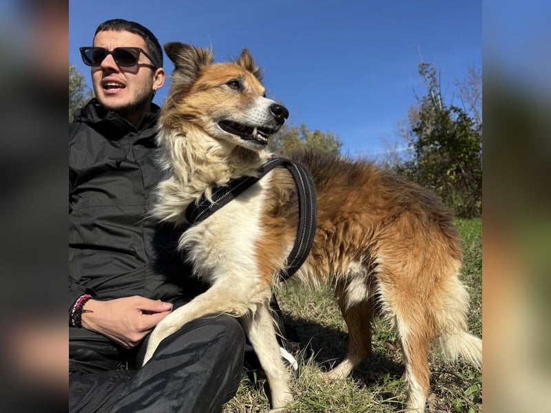 Leon - wunderbarer älterer Bub möchte dringend in sein eigenes Zuhause