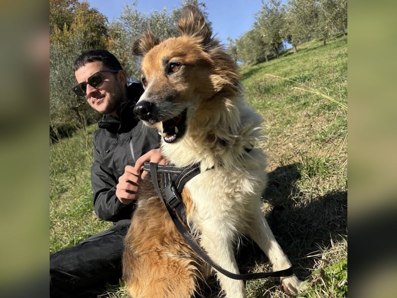 Leon - wunderbarer älterer Bub möchte dringend in sein eigenes Zuhause