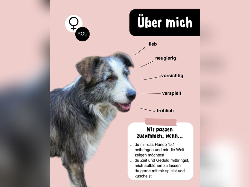 Die fröhliche JUNA sucht Dich