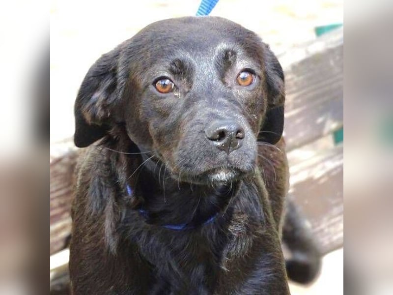 ARTHUR ist sehr lieb