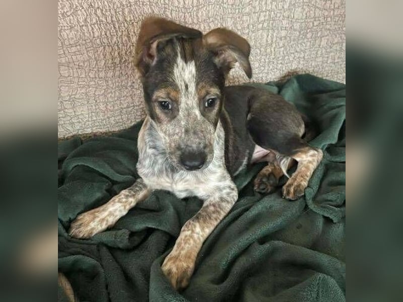 DENY wurde verlassen gefunden