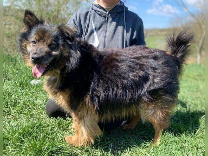 BUGY musste ein elendes Leben fristen